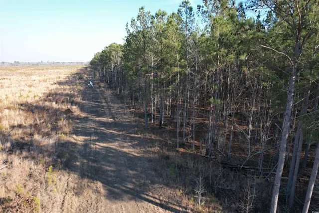 $1,299,000 | Tbd Rocky Ford Road, Salters, SC 29590