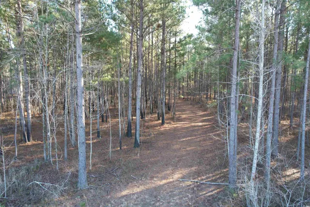 $1,299,000 | Tbd Rocky Ford Road, Salters, SC 29590