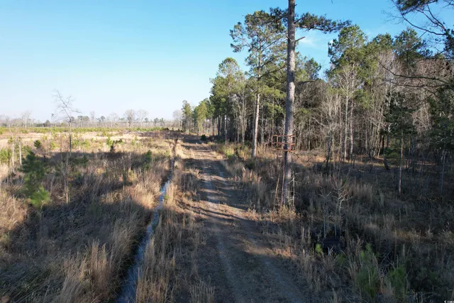 $1,299,000 | Tbd Rocky Ford Road, Salters, SC 29590