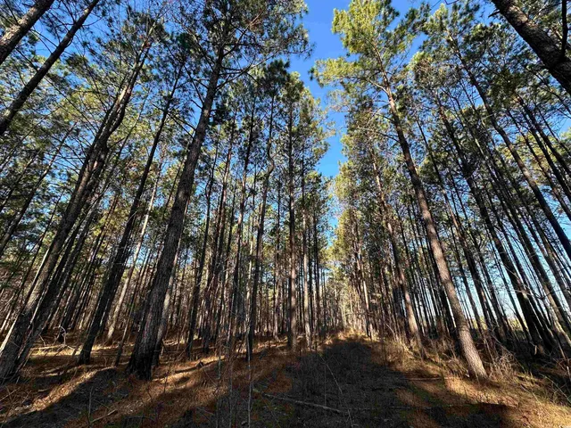 $1,299,000 | Tbd Rocky Ford Road, Salters, SC 29590