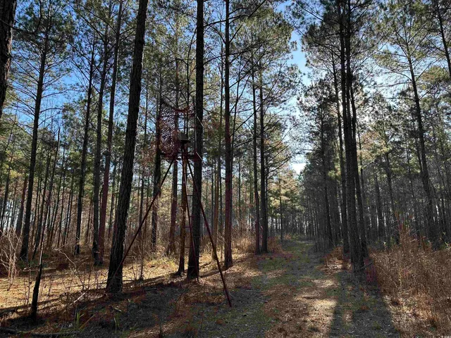 $1,299,000 | Tbd Rocky Ford Road, Salters, SC 29590
