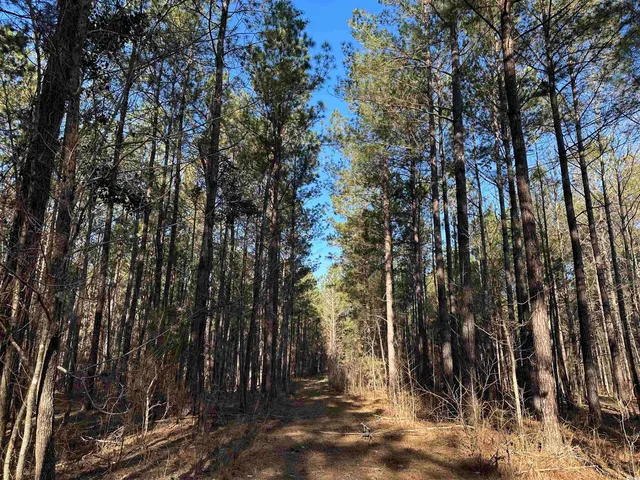 $1,299,000 | Tbd Rocky Ford Road, Salters, SC 29590