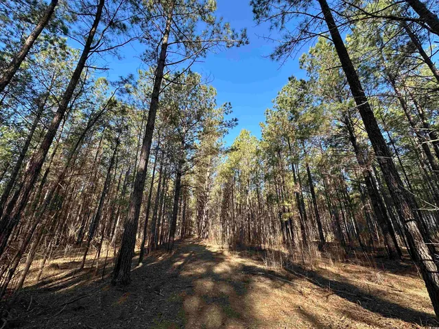 $1,299,000 | Tbd Rocky Ford Road, Salters, SC 29590