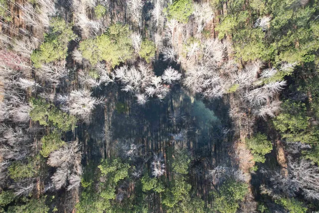 $1,299,000 | Tbd Rocky Ford Road, Salters, SC 29590