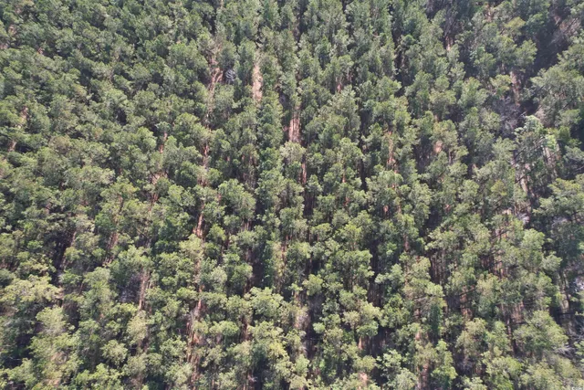 $1,299,000 | Tbd Rocky Ford Road, Salters, SC 29590