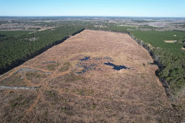 $1,299,000 | Tbd Rocky Ford Road, Salters, SC 29590