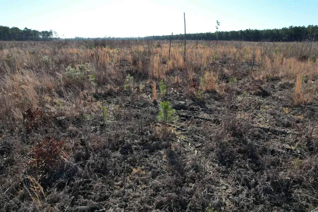 $1,299,000 | Tbd Rocky Ford Road, Salters, SC 29590