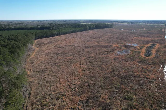 $1,299,000 | Tbd Rocky Ford Road, Salters, SC 29590