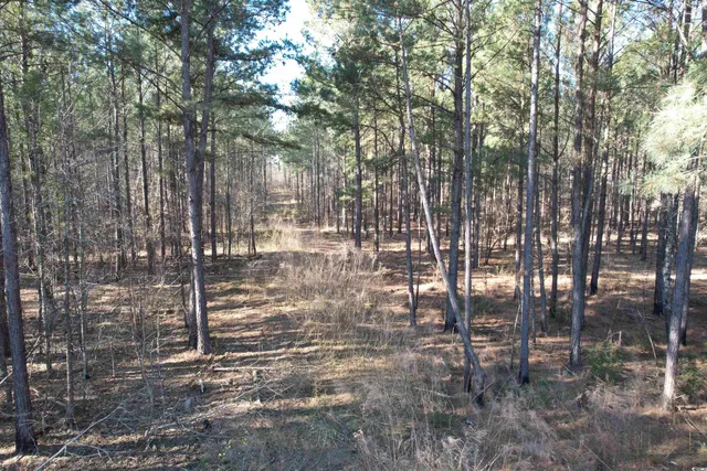 $1,299,000 | Tbd Rocky Ford Road, Salters, SC 29590