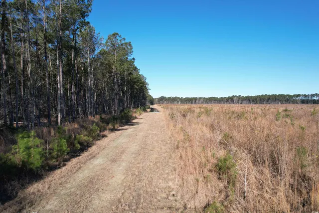 $1,299,000 | Tbd Rocky Ford Road, Salters, SC 29590