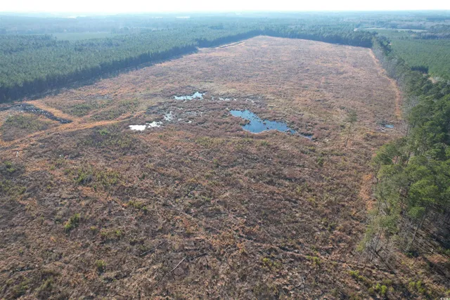 $1,299,000 | Tbd Rocky Ford Road, Salters, SC 29590