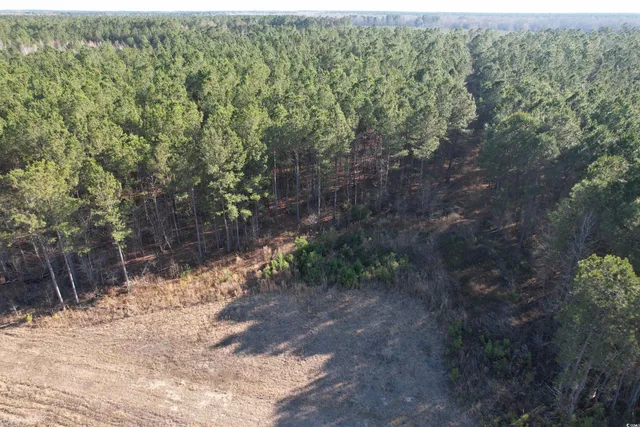 $1,299,000 | Tbd Rocky Ford Road, Salters, SC 29590