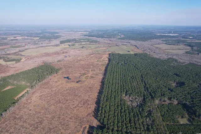 $1,299,000 | Tbd Rocky Ford Road, Salters, SC 29590