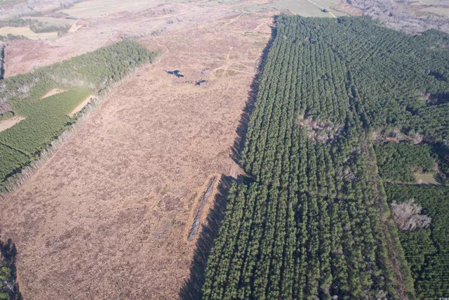 $1,299,000 | Tbd Rocky Ford Road, Salters, SC 29590