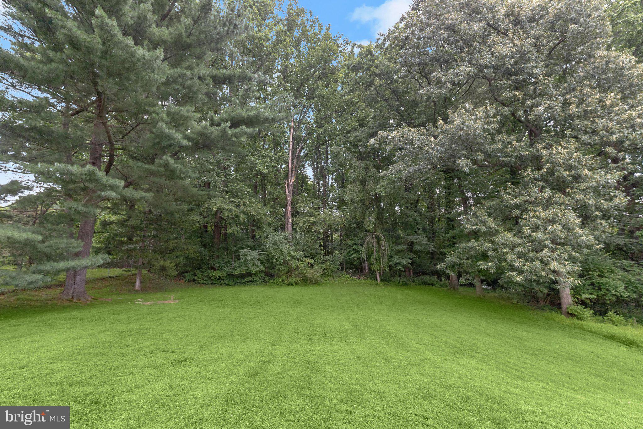 12709 Hammonton Road Silver Spring, MD 20904 - Photo 47 of 55 Backyard