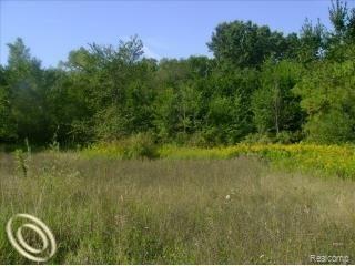 P2 Hidden Valley Howell, MI 48843 - Photo 2 of 2 Gorgeous Walkout