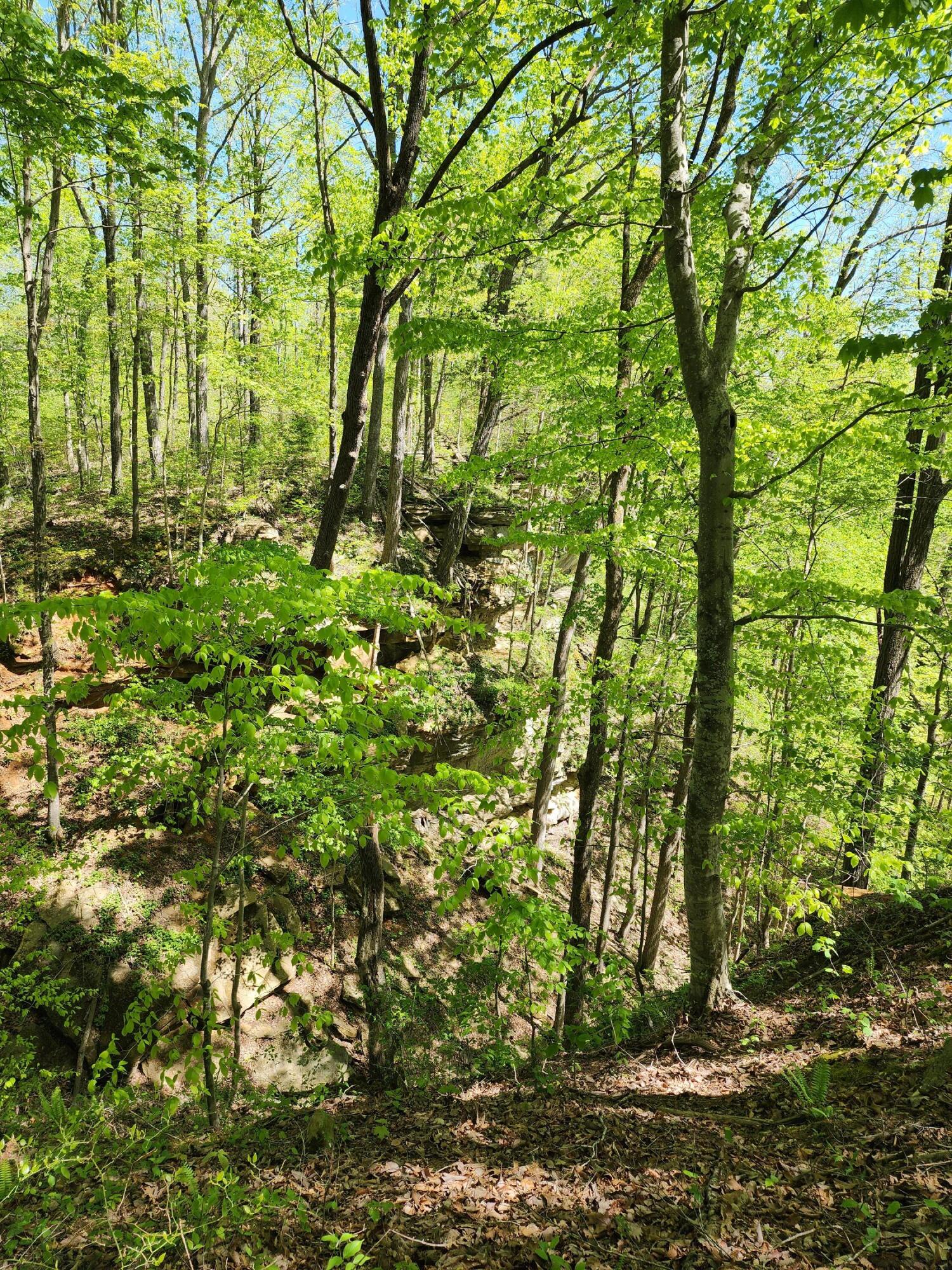 391 George Sell Road Albany, KY 42602 - Photo 16 of 18 20240422_140959