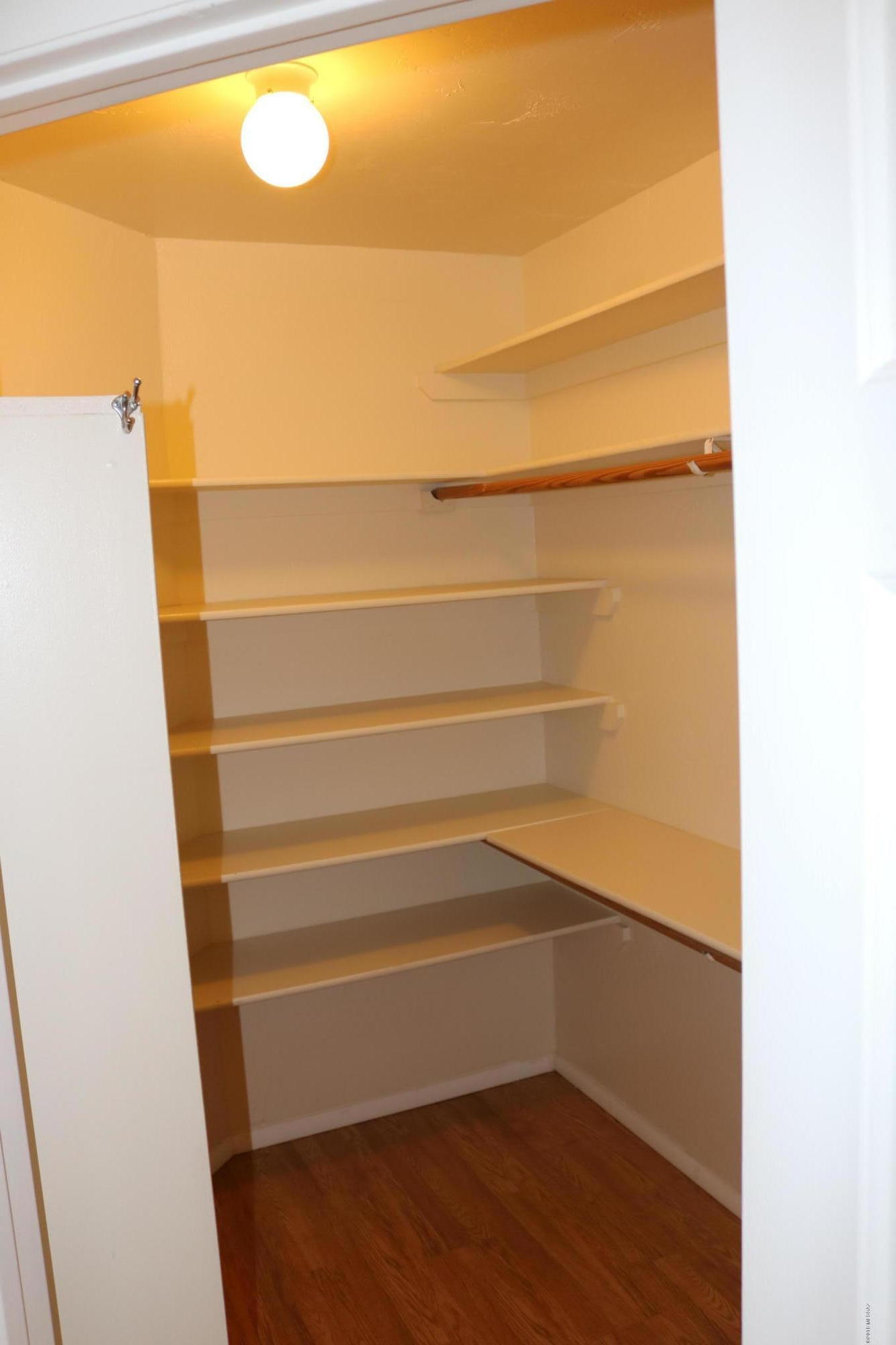 5851 South Avra Road Tucson, AZ 85735 - Photo 17 of 46 a view of walk in closet with empty racks