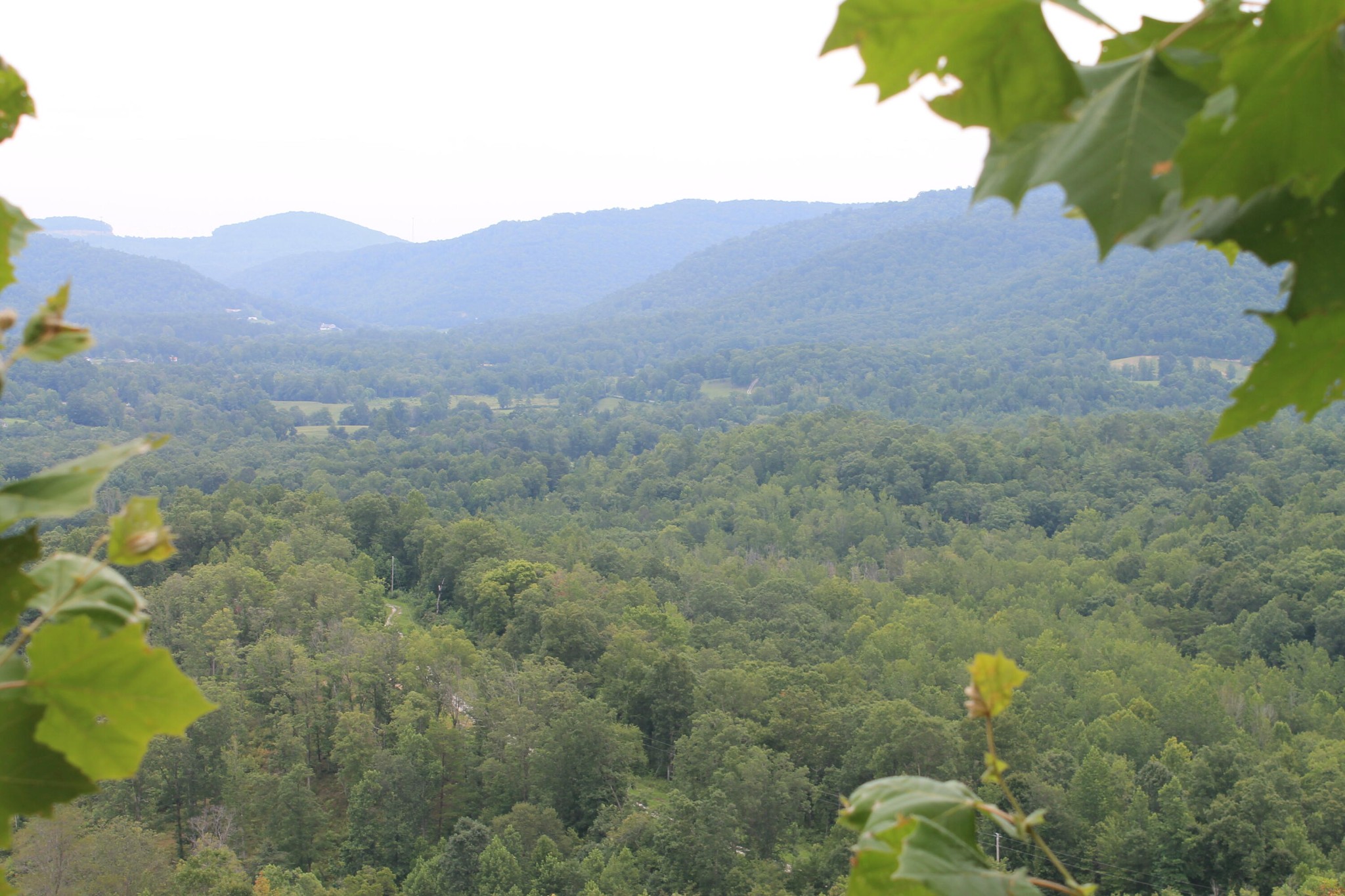 2 Straight Fork Road Huntsville, TN 37756 - Photo 13 of 13
