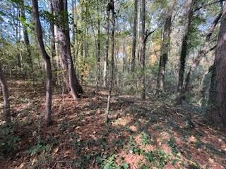 0 Ryman Ridge Road Dalton, GA 30720 - Photo 3 of 9 Gallery Image 3