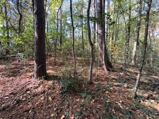 0 Ryman Ridge Road Dalton, GA 30720 - Photo 4 of 9 Gallery Image 4