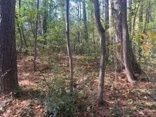 0 Ryman Ridge Road Dalton, GA 30720 - Photo 5 of 9 Gallery Image 5