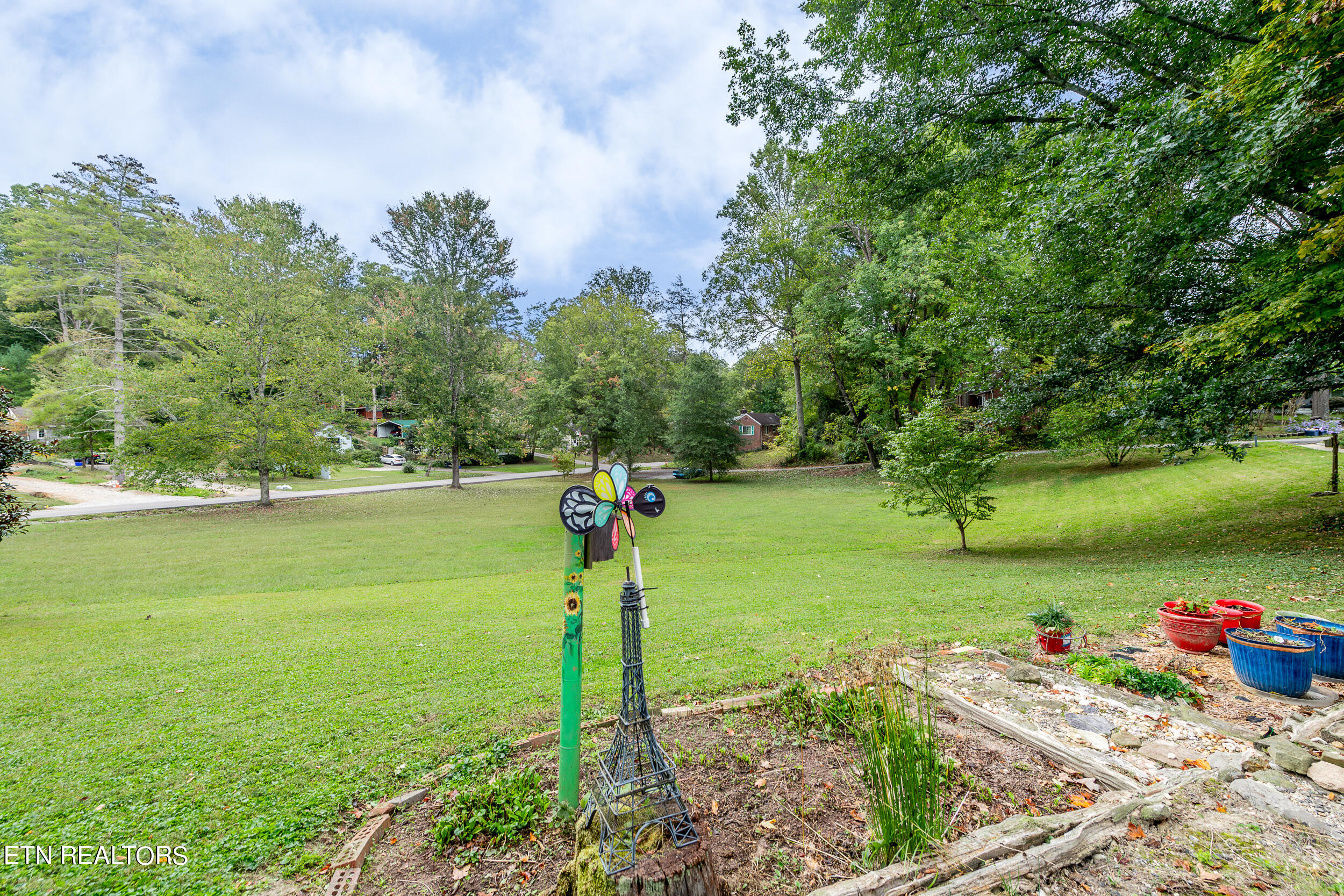 100 Dale Road Norris, TN 37828 - Photo 5 of 13 HOB_5601-Enhanced-NR-Edit