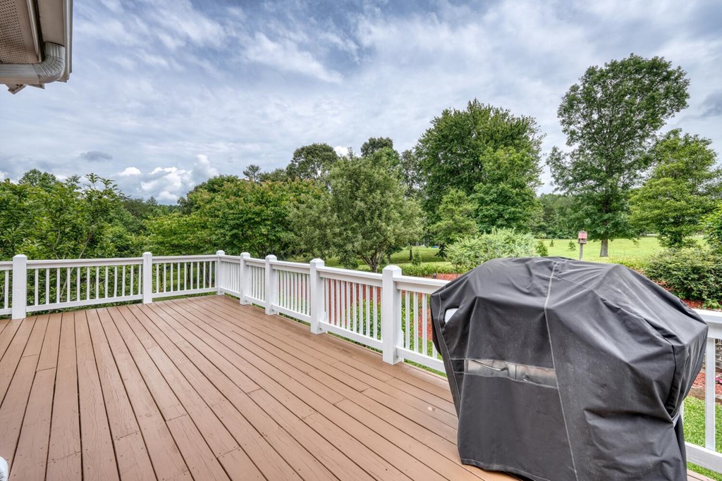573 Shuler Road Blairsville, GA 30512 - Photo 50 of 85 Gallery Image 50