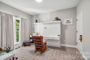 224 Carpenter Road Marion, NC 28752 - Photo 16 of 43 Gallery Image 16