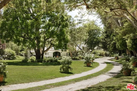 a view of a park with large trees