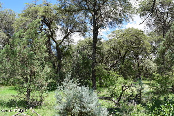 0 Mellor Road Elgin, AZ 85611 - Photo 3 of 9