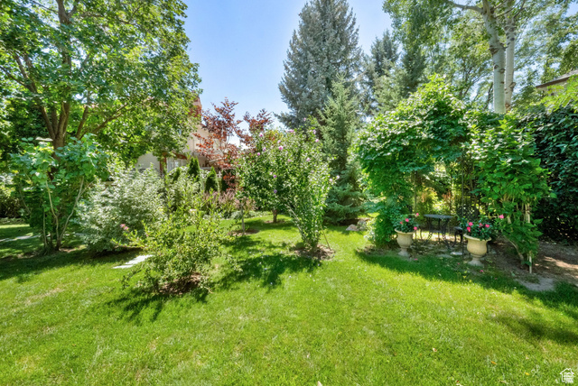 7740 Keswick Road Sandy, UT 84093 - Photo 55 of 74 Expansive green lawn with a variety of mature trees and shrubs