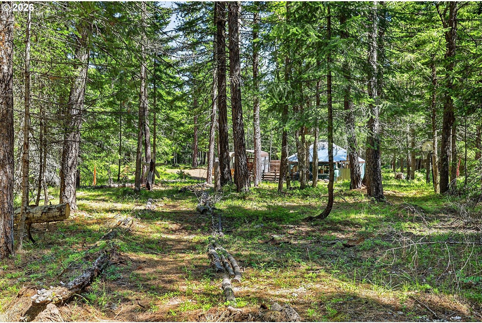 36 Shippey Cutoff Road Lyle, WA 98635 - Photo 40 of 48 Gallery Image 40