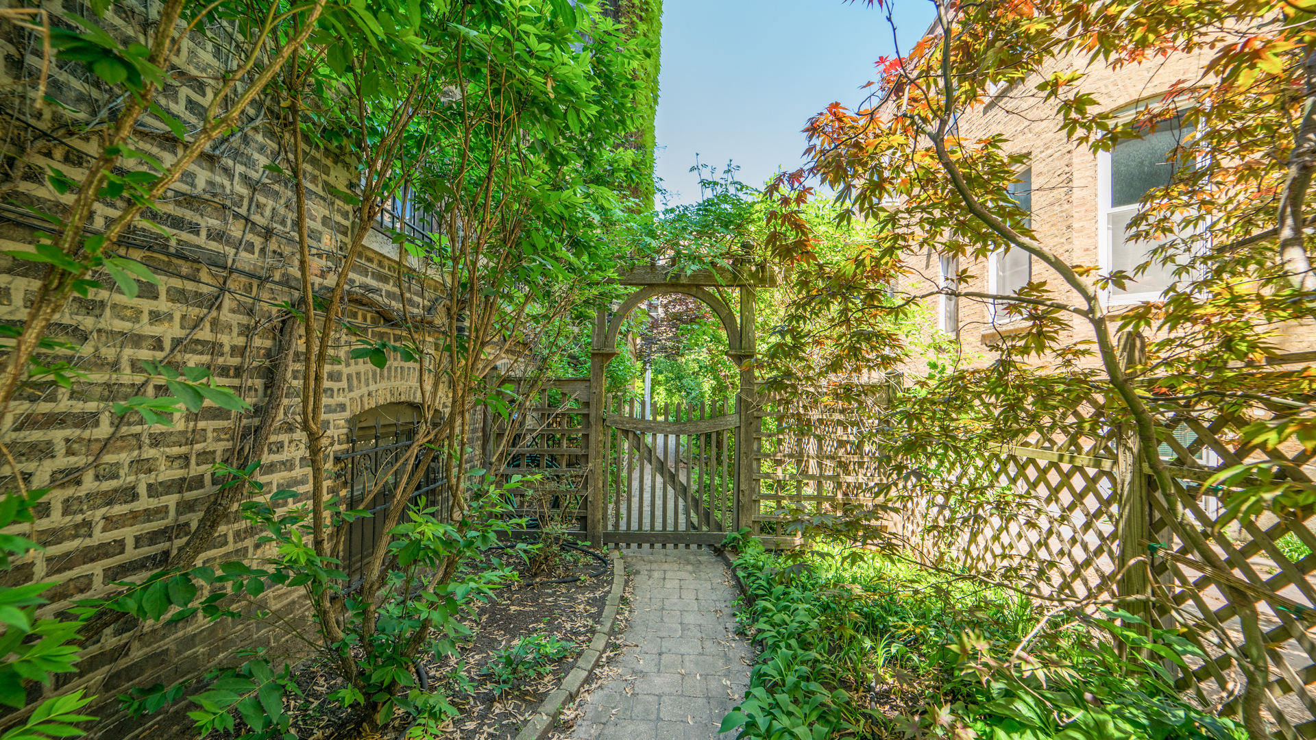 622 West Briar Place, Unit G Chicago, IL 60657 - Photo 3 of 16 a plant that is in front of a building