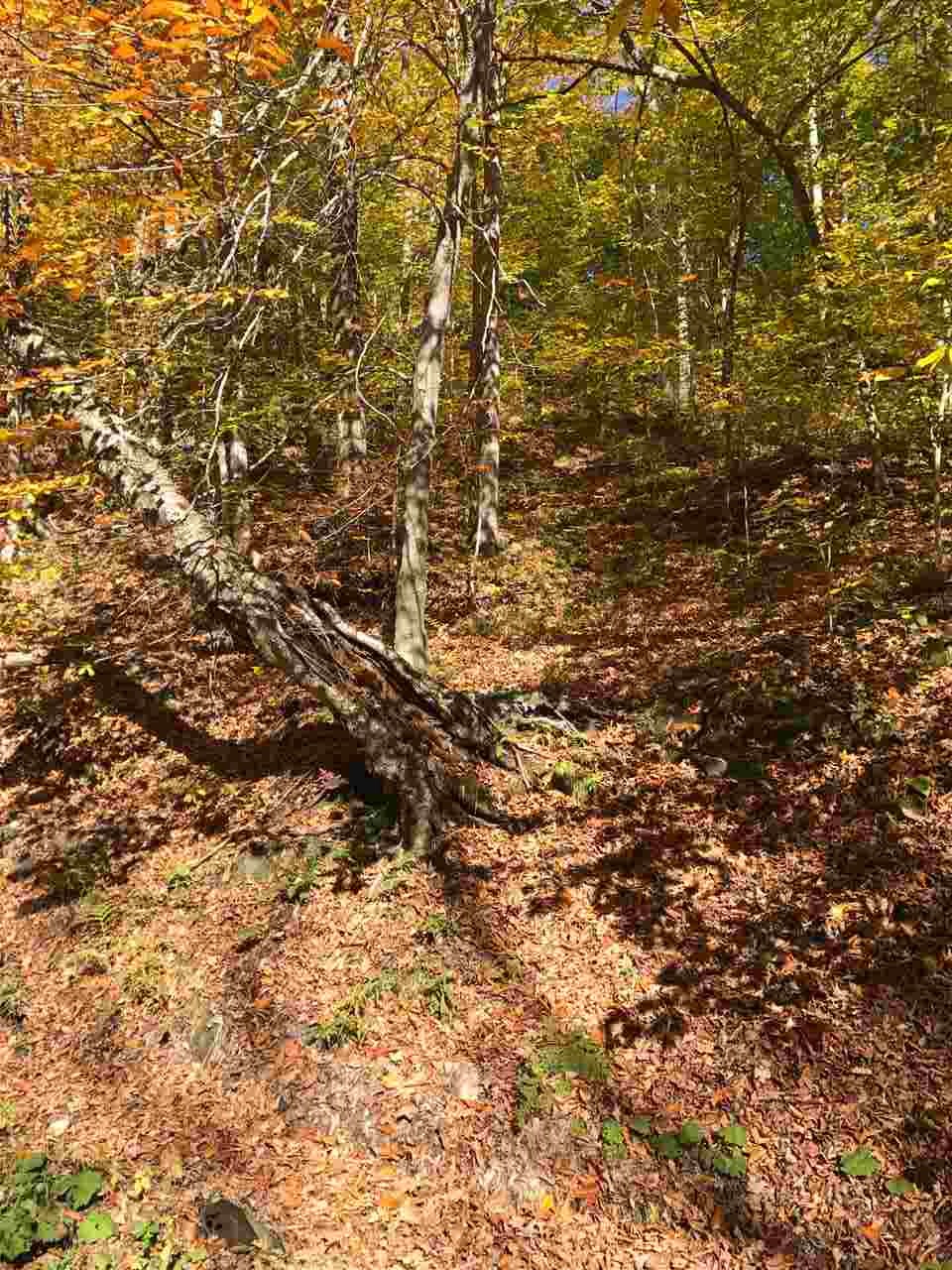 3842 Gulf Road Woodstock, VT 05091 - Photo 2 of 4