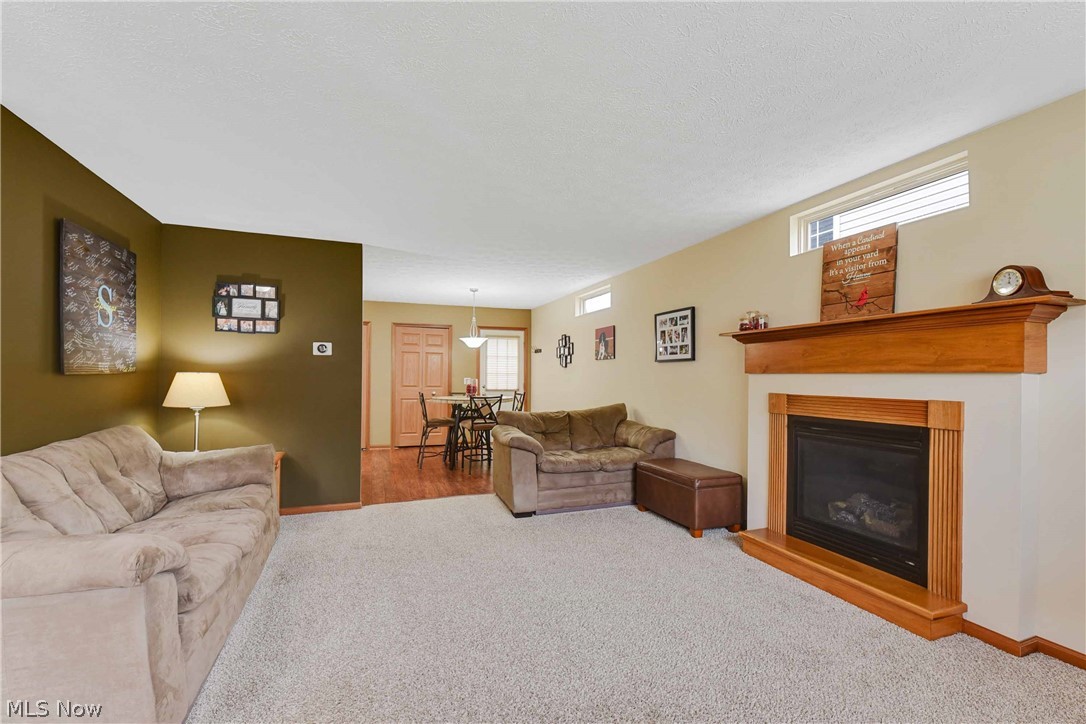 5288 Otten Road North Ridgeville, OH 44039 - Photo 8 of 35 Gallery Image 8