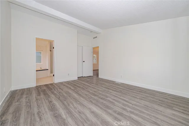 a view of a yard with plants and large trees