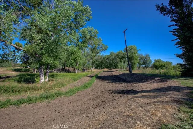 a view of backyard with green space