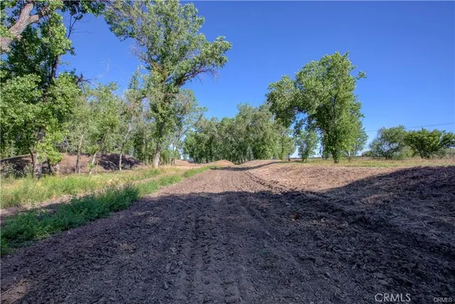 a view of a yard with an outdoor seating