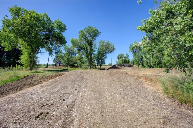 a view of a yard with a tree