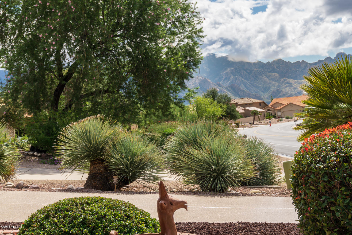 37305 South Ridgeview Boulevard Tucson, AZ 85739 - Photo 4 of 33