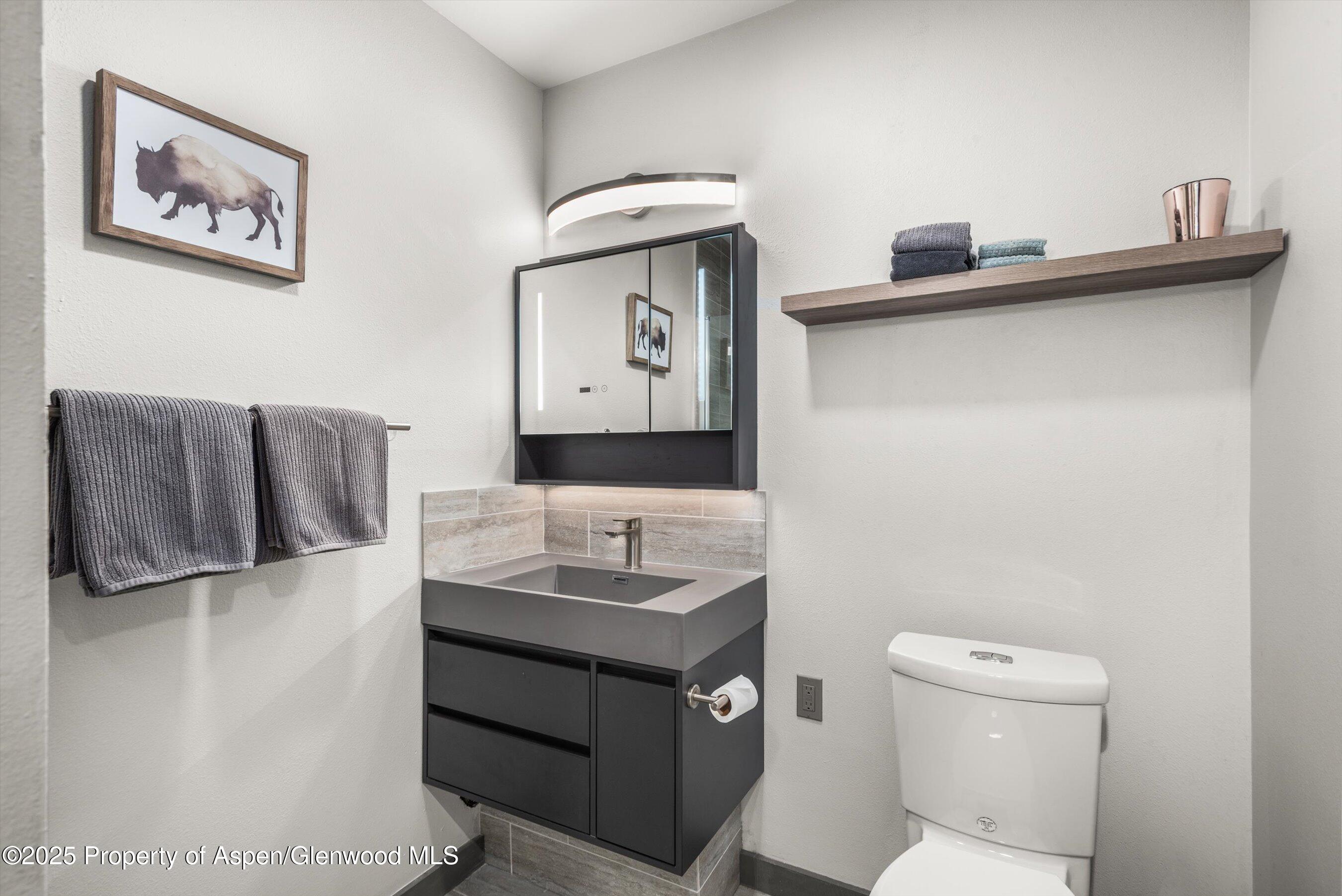 128 Mountain Court Basalt, CO 81621 - Photo 18 of 27 Primary Bathroom