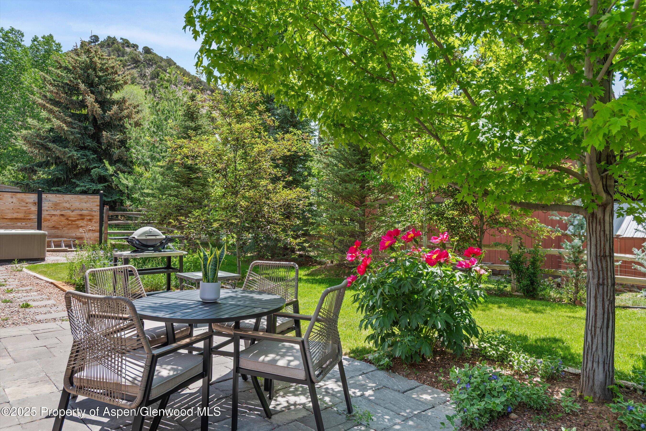 128 Mountain Court Basalt, CO 81621 - Photo 26 of 27 Backyard