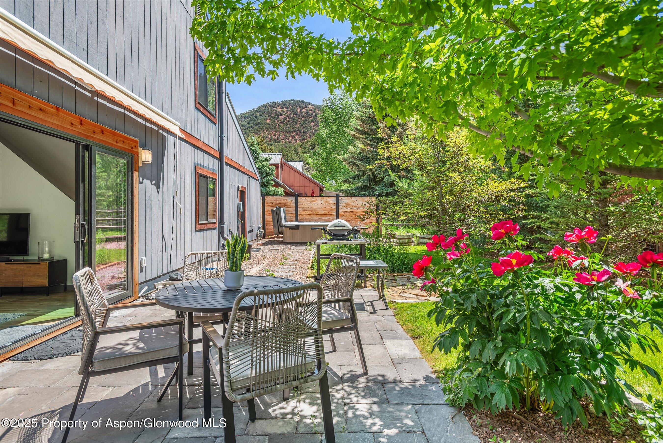 128 Mountain Court Basalt, CO 81621 - Photo 3 of 27 Backyard