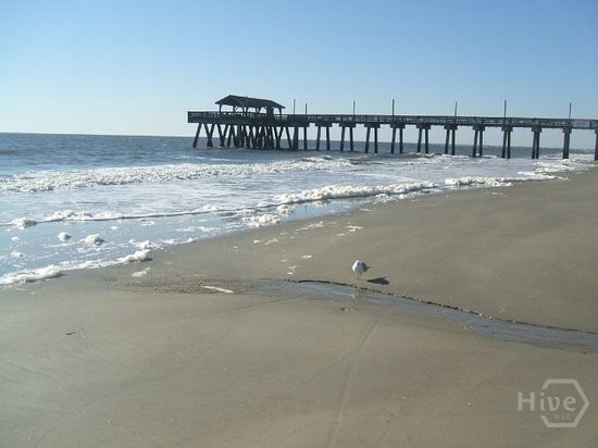 18 Silver Avenue, Unit 4 Tybee Island, GA 31328 - Photo 13 of 20 Walking distance to the pier