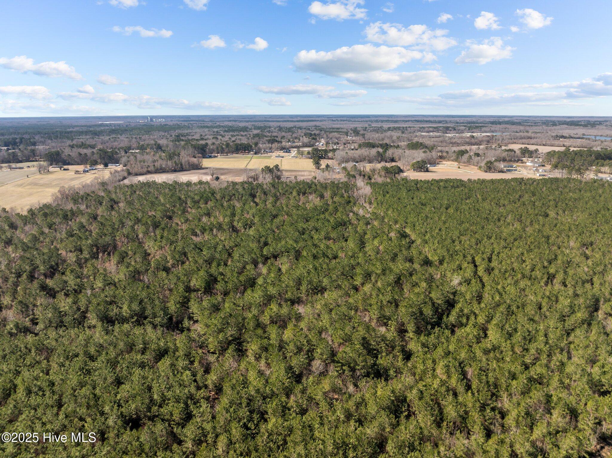 2661 Old Brick Road Vanceboro, NC 28586 - Photo 4 of 6 25+ Acres Wooded Perfect for Recreational Activities