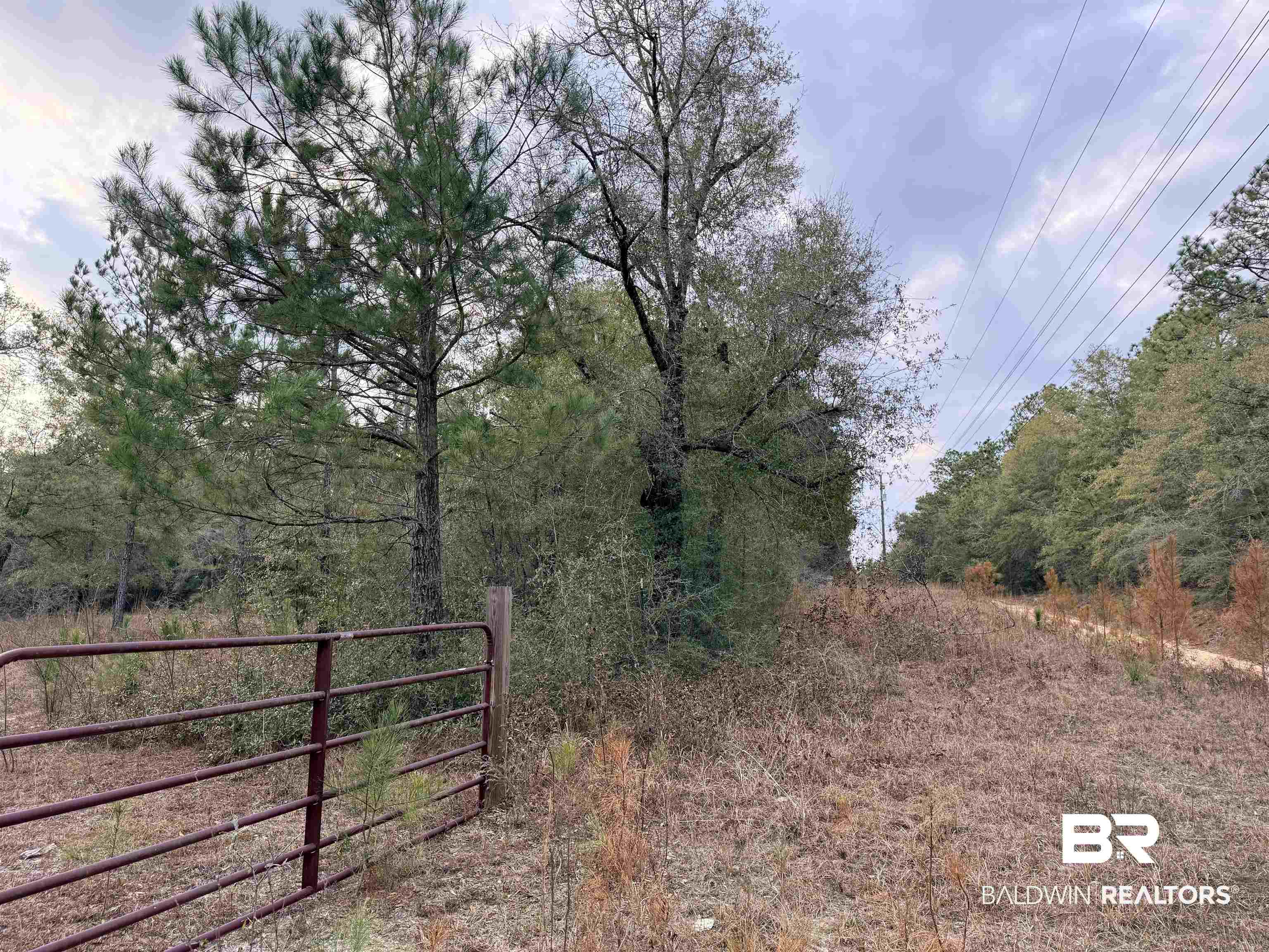9325 Georgetown Hills Road West Wilmer, AL 36587 - Photo 8 of 11