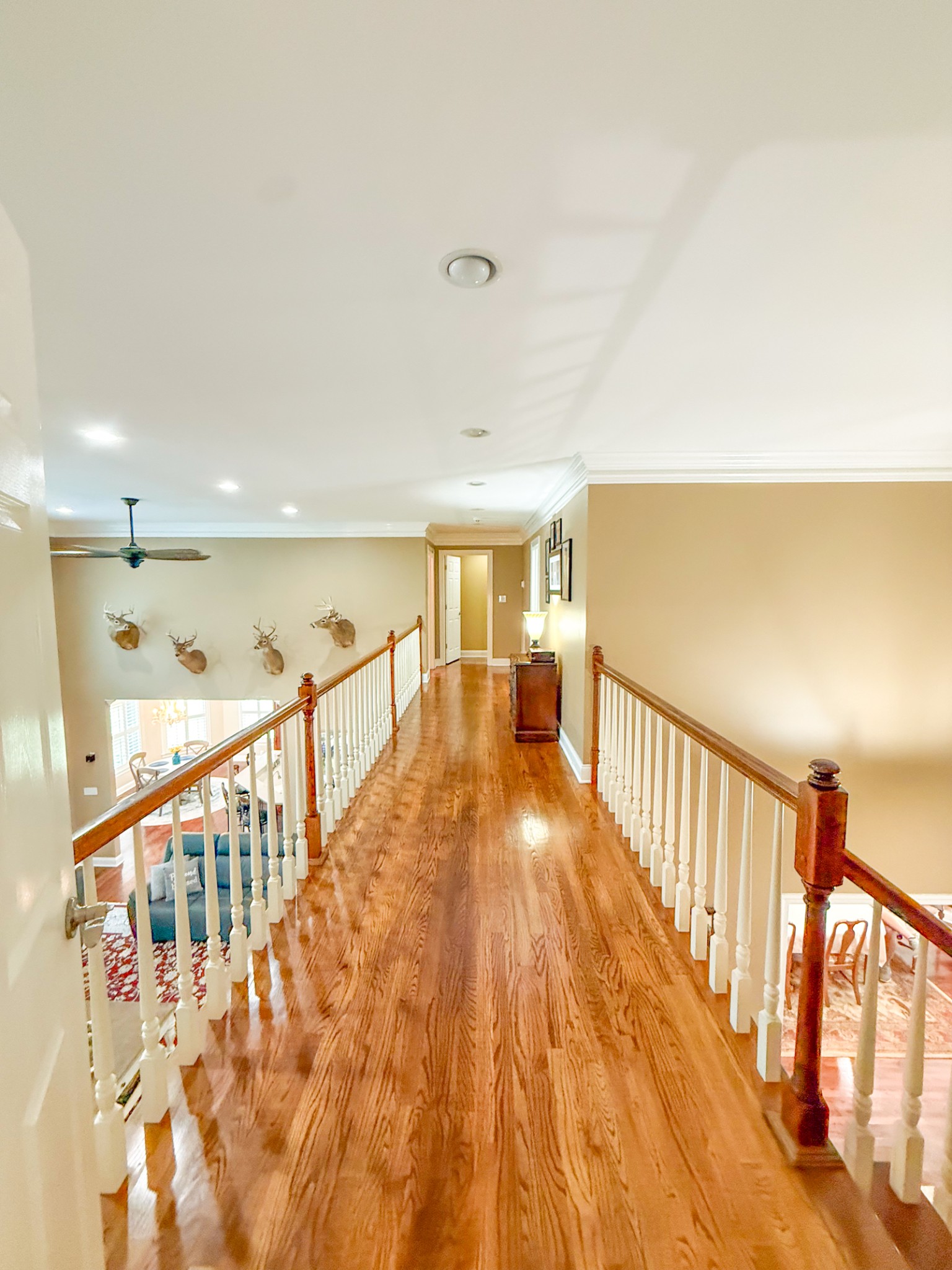275 Crescentview Road Pulaski, TN 38478 - Photo 35 of 62 a view of a hallway with wooden floor