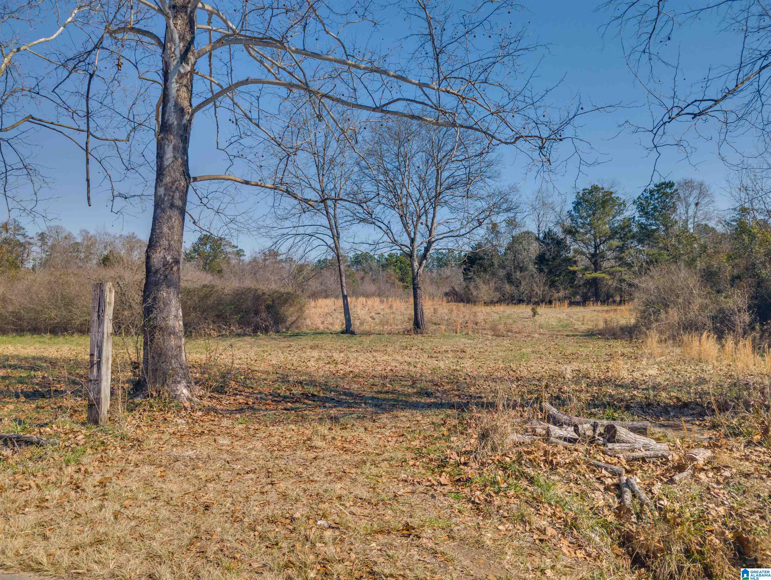 807 Yellow Leaf Road, Unit 1 Clanton, AL 35045 - Photo 13 of 18