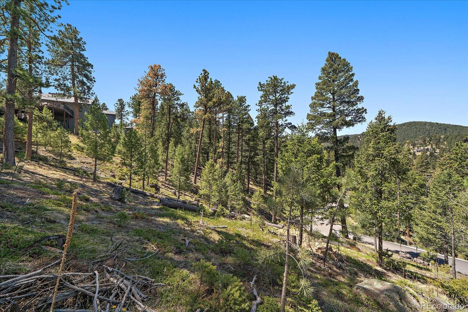 6875 Lynx Lair Road Evergreen, CO 80439 - Photo 13 of 21